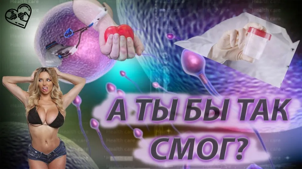 Интересные факты о миссионерах добрых дел в 2026 году